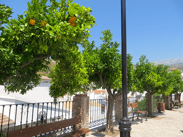 Andalusie32
