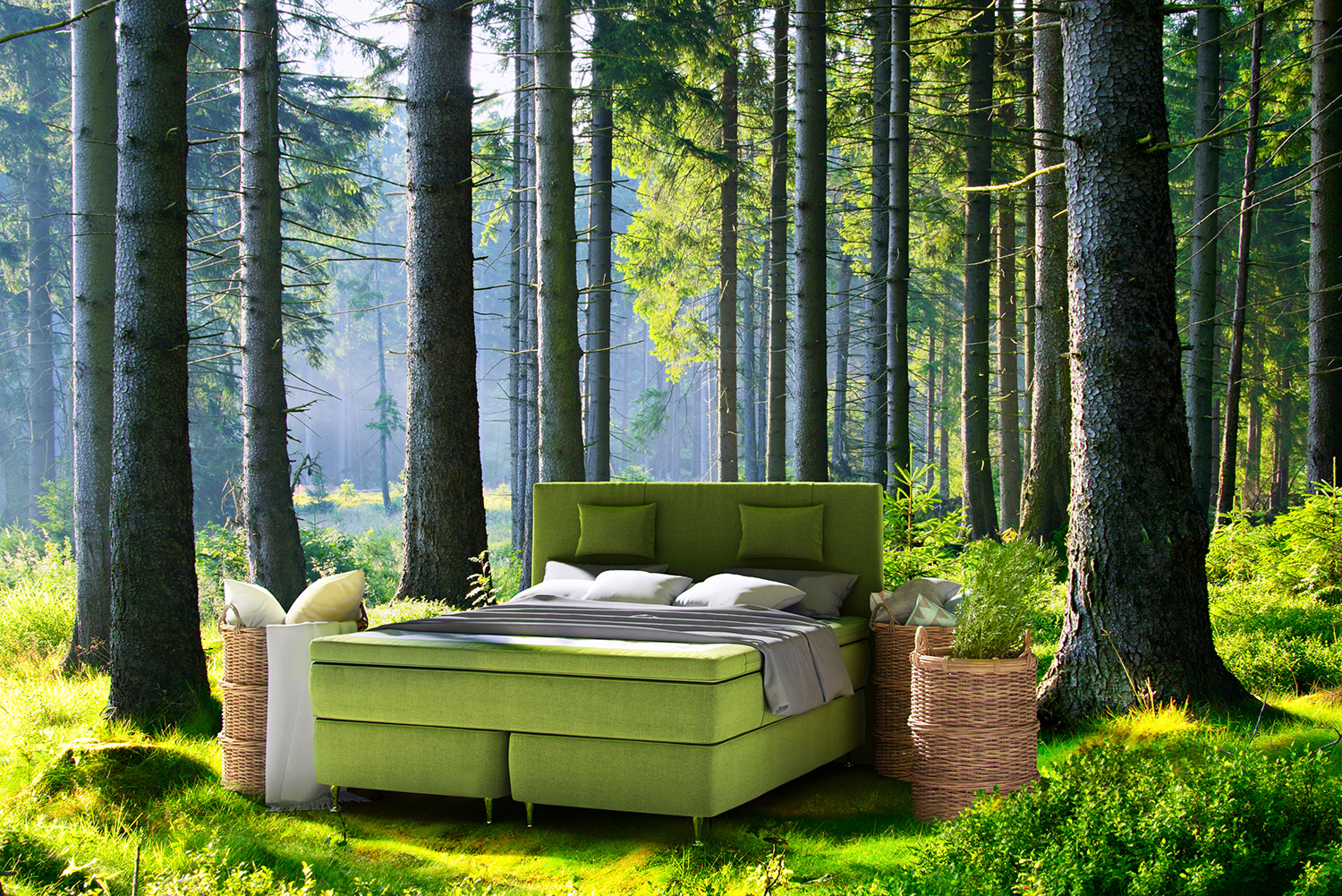 Ecolife beds