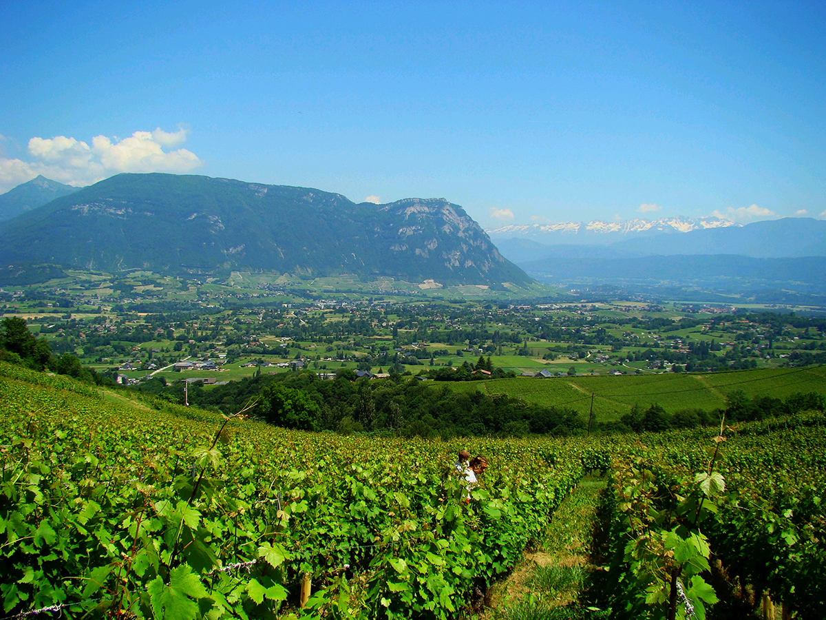 Savoie Mont Blanc