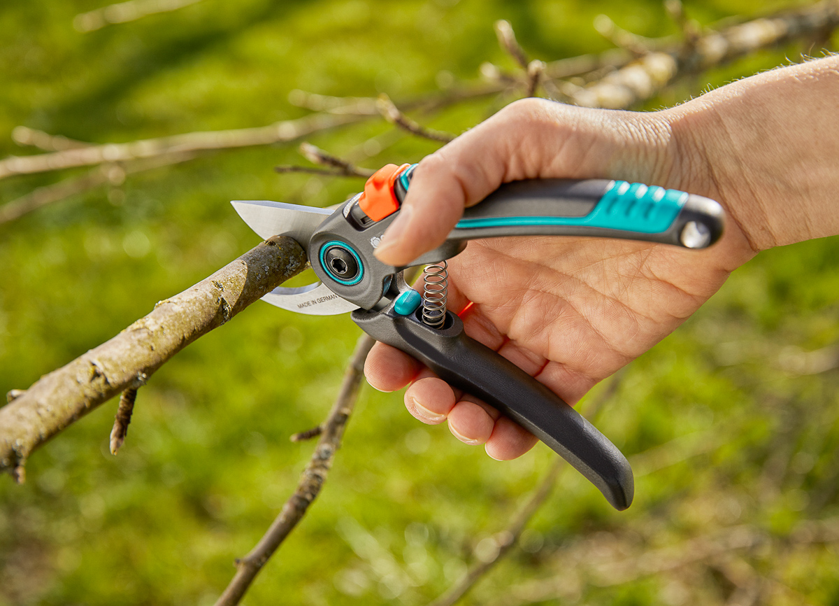 Draaien Op en neer gaan vruchten GARDENA lanceert nieuwe snoeischaar en tuinhandschoenen - Lifestyle NWS