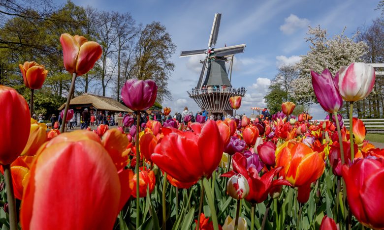 keukenhof