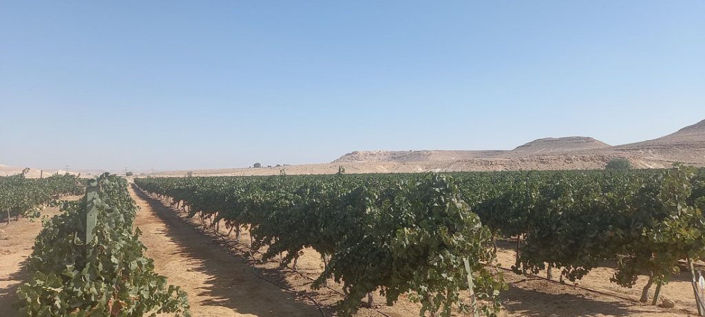 wijngaarden israel-3