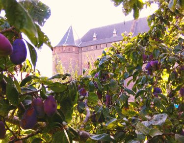 Pruimenweekend Muiderslot