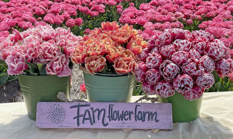FAM Flower Farm