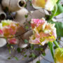 tulpen stylen
