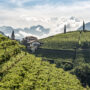 Alto Adige Restaurant Weken