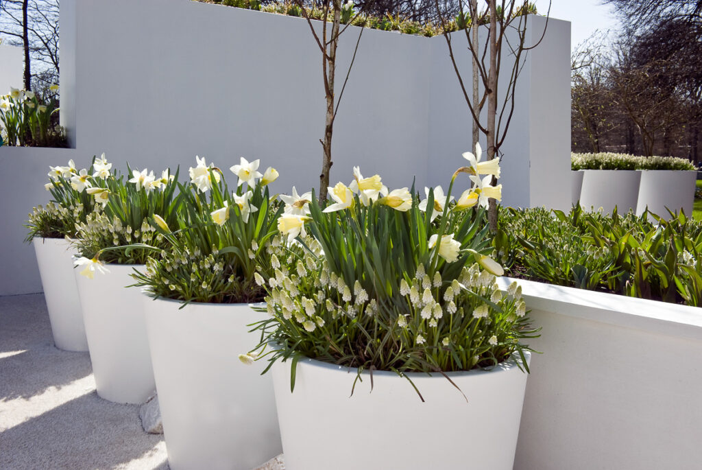 witte tuin-2